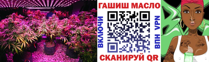 как найти Кувандык ТГК гашишное масло