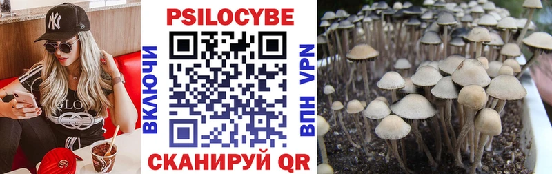 Псилоцибиновые грибы мухоморы  купить закладку  Кувандык 